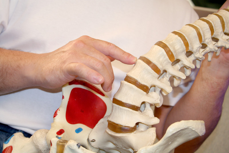 Do Chiropractic Adjustments Really Move Bones in Your Spine?