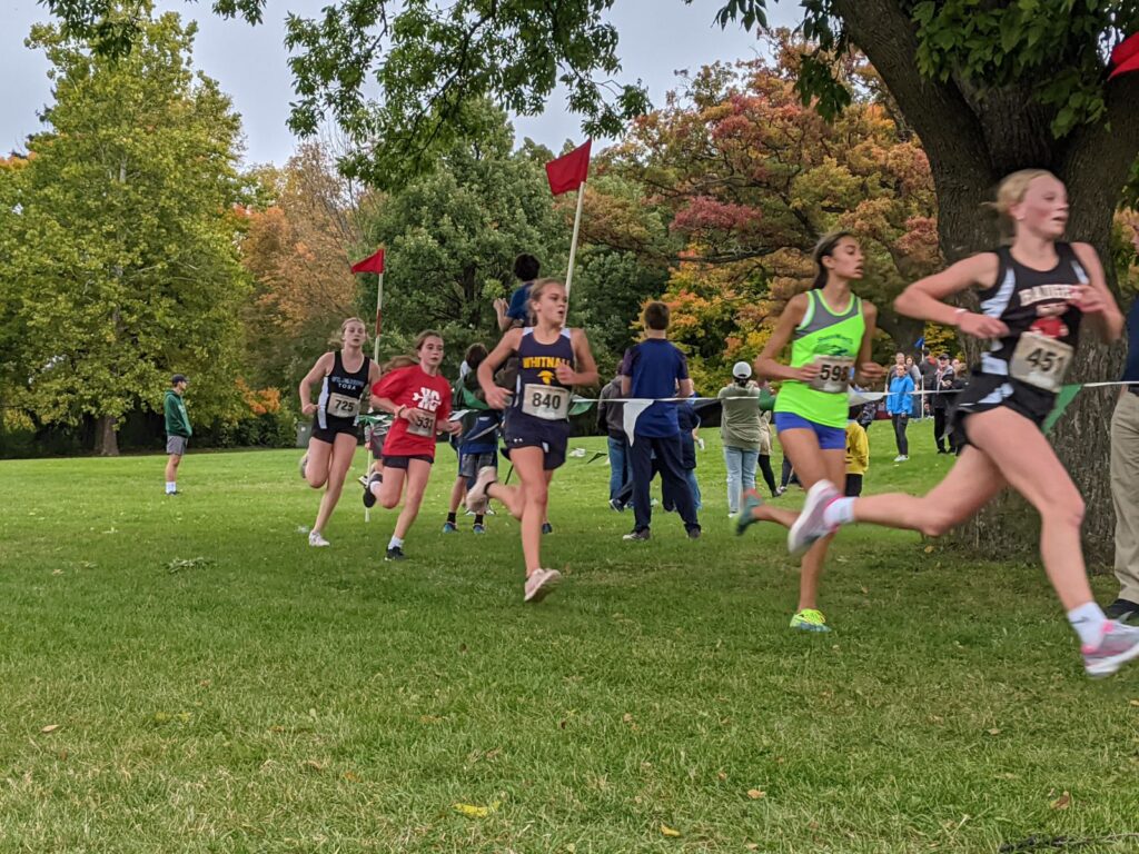 cross country chiropractor, Zone 2 training