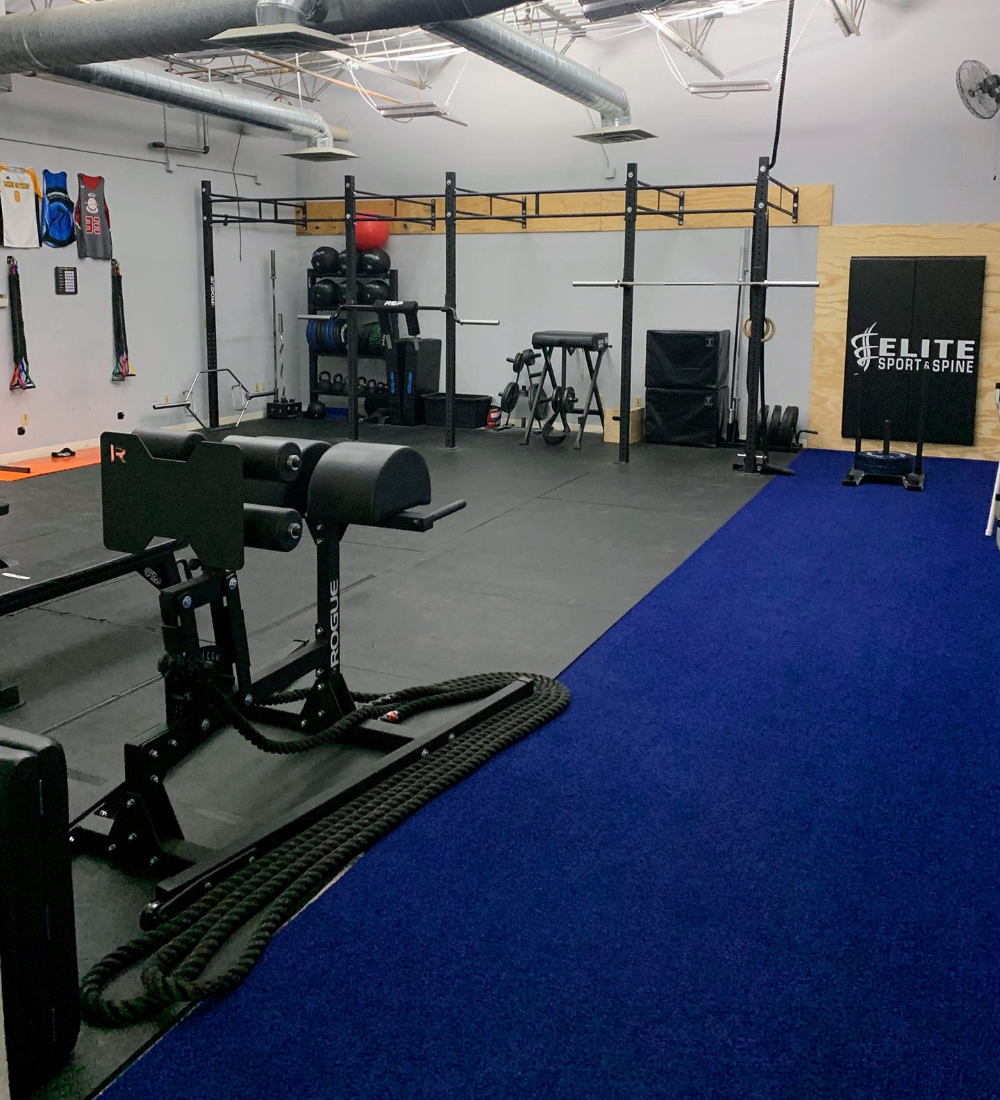 Elite Sport and Spine gym